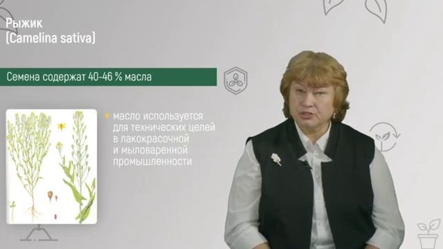 9 8  Характеристика основных видов масличных культур