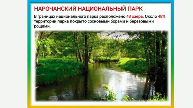 Урок биологии в 11 классе - Якута Валентина Казимировна смотреть онлайн