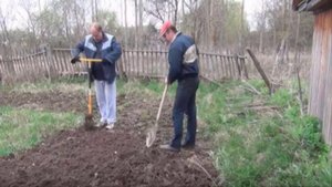 Ручной культиватор Торнадо купить | Ручной культиватор отзыв