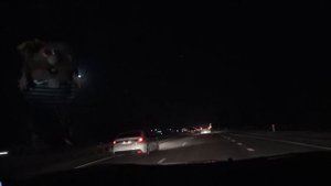 На море - на машине! Часть 1. Платная трасса М-4 Дон. Москва-Ростов-на-Дону. Взяли транспондер!