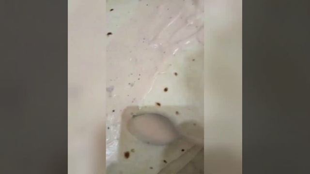 Вкусная шаурма по-Дагестански?? смотреть онлайн