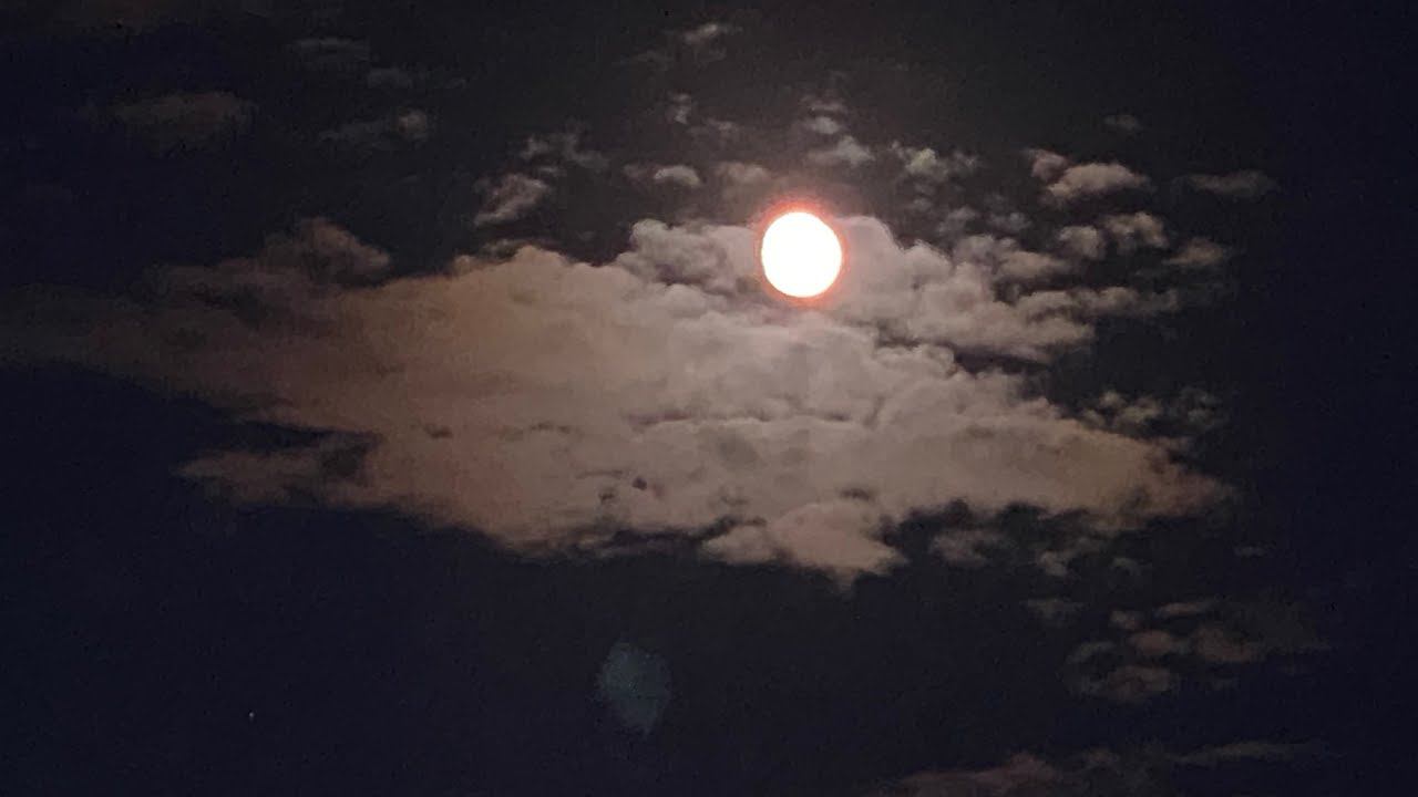 Страшный сон с Кисси Мисси . Продолжение страшилки