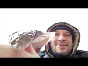 Рыбалка в ветер