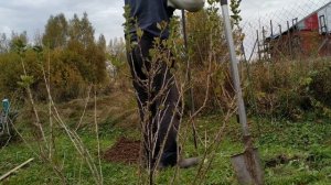 Бур, который легко бурит, не застревает и умеет делать надежный фундамент