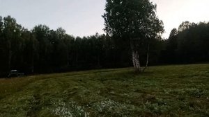 Настоящий покос травы. Новым трактором т-40