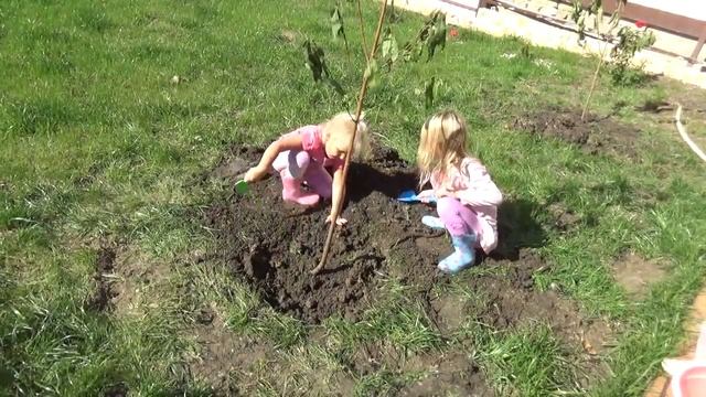 Построил дом - посади дерево! Наш фруктовый сад. смотреть онлайн