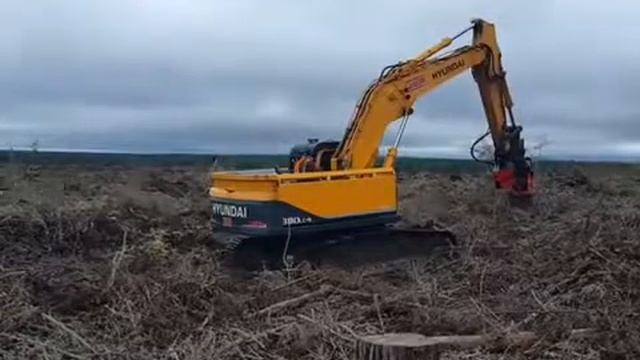 Выкорчевка пней!