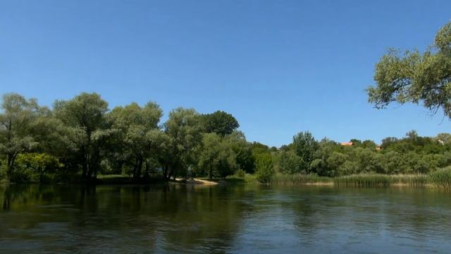 Донцовые закаты. Часть 2 смотреть онлайн