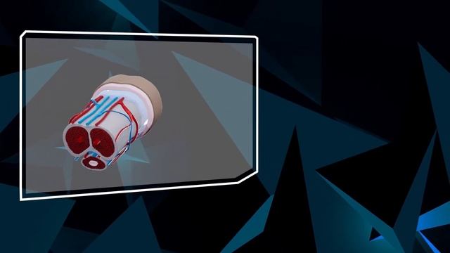 Студия VideoSfera - Sizetrexx смотреть онлайн