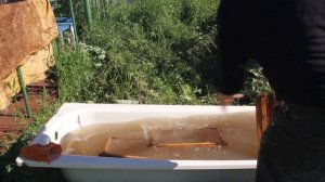 Дезинфекция ульевых рамок.