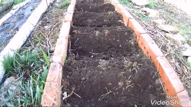 ИНТЕРЕСНЫЙ СПОСОБ ПОСАДКИ ЛУКА СЕВКА/СМЕШАНЫЕ ПОСАДКИ/ЛУК И МОРКОВЬ НА ОДНОЙ ГРЯДКЕ/ПОСЕВ МОРКОВИ. смотреть онлайн
