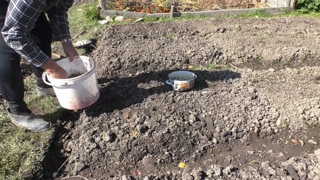 Садим чеснок под зиму Дачные дела смотреть онлайн