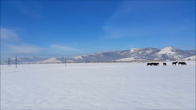 Лыжню! смотреть онлайн