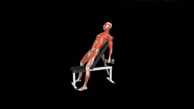 Чередующиеся подъемы гантелей перед собой на наклонной скамье Front raise Dumbbell Incline смотреть онлайн