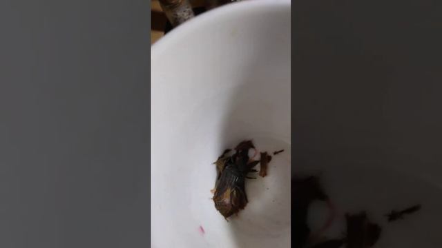 Событие ближайших дней- интересное видение на чае?смотри послание Свыше скорей ? смотреть онлайн