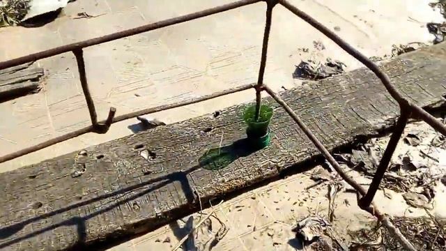 Борьба с сорняками на пасеке. смотреть онлайн