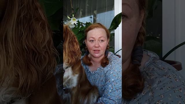 #11. Дневник ФаниМода. Этика и мораль жизненного цикла одежды. смотреть онлайн