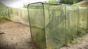 Станция кольцевания птиц "Фрингилла"