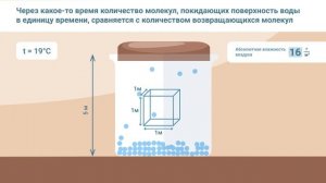 Абсолютная и относительная влажность воздуха