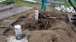 корчевание пней