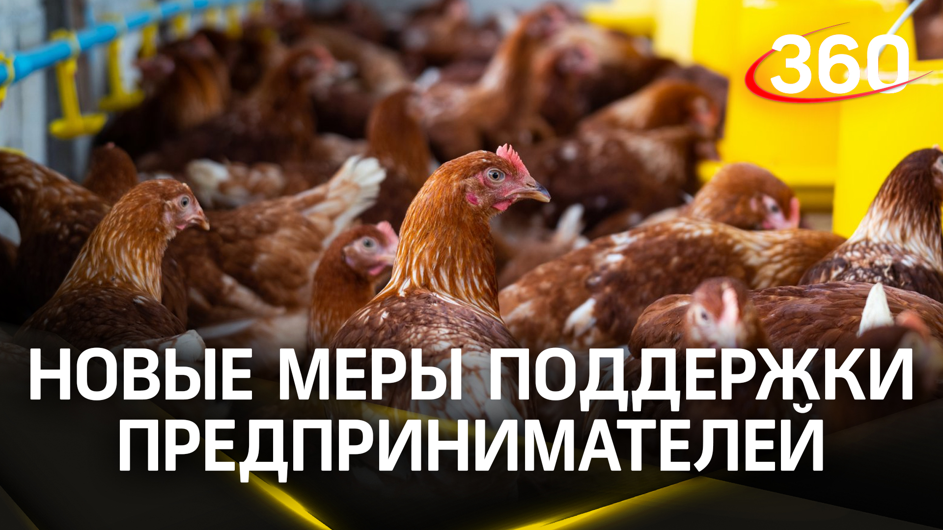 Подмосковные птицеводы и производители минеральных вод получат меры господдержки