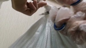 Большая распаковка 145 кг белгородского мела от "Мел Белогорья!" Открытие и опробование свежего мел