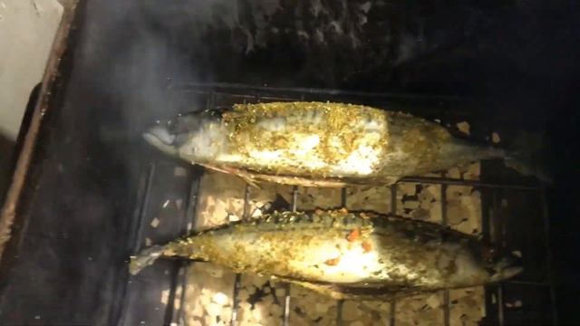 Коптим рыбу. Скумбрия горячего копчения. Копчение рыбы. Копченая скумбрия.