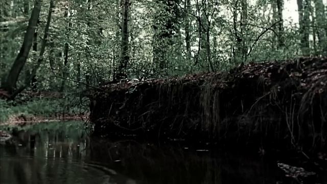 Краем глаза. Автор - Макс Далин. Мистическая история. ИсторииТО