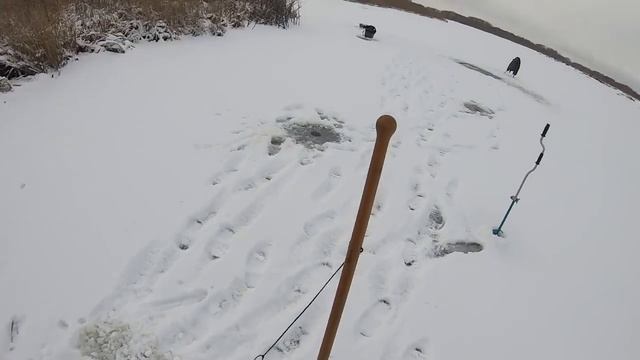 ОПУСТИЛ КАМЕРУ ПОД ЛЁД И БЫЛ УДИВЛЁН,ТАКОГО Я НЕ ВИДЕЛ! ПОСТАВИЛ ВЕРШИ,через сутки ПРОВЕРИМ. смотреть онлайн