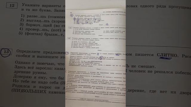 Задание 13 ЕГЭ Русский. Онлайн-школа EXAMhack. ОГЭ ЕГЭ Русский язык 2022