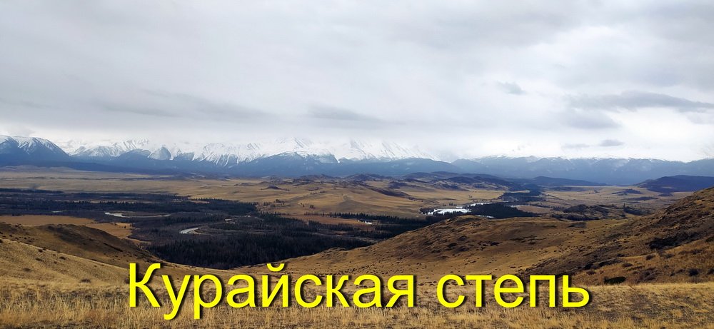 Курайская степь 03.05.2022