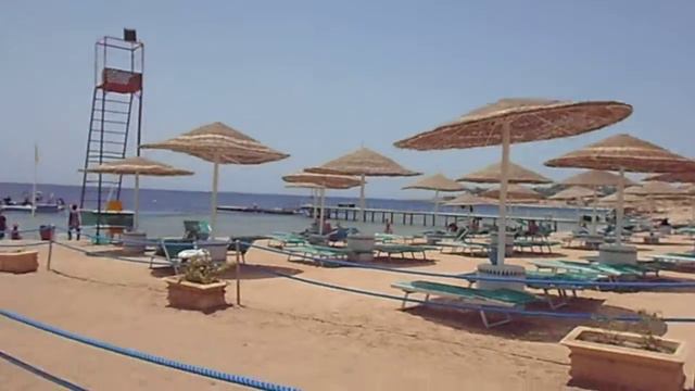 египет шарм эль шейх отель домина султан