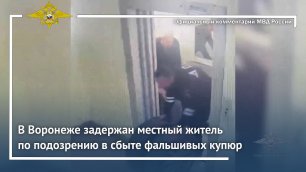 Ирина Волк: В Воронеже полицейские задержали местного жителя по подозрению в сбыте фальшивых купюр