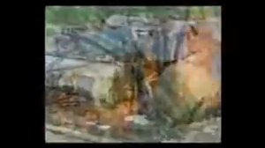 история создания и развития гражданской обороны