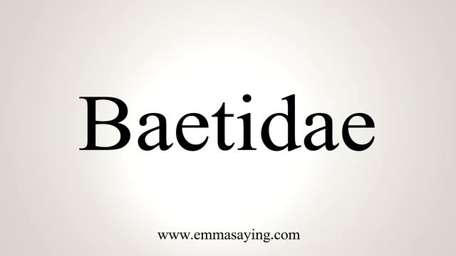 How To Say Baetidae смотреть онлайн