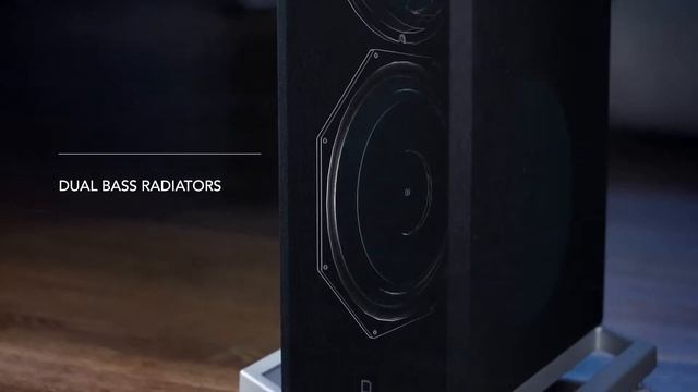 Акустика для домашнего кинотеатра и стерео Definitive Technology BP 9000 Series смотреть онлайн