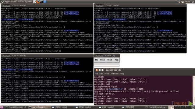 Cassandra Administration Tutorial: Incremental Backup | packtpub.com смотреть онлайн