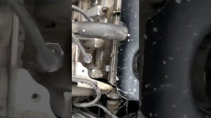 Стучит на холодную калина