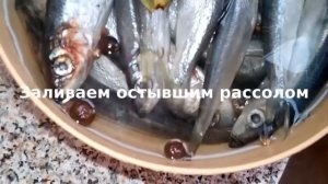 ?Солим салаку дома! Простейший рецепт!