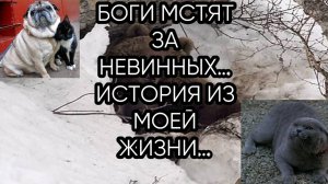 БОГИ МСТЯТ ЗА НЕВИННЫХ…ИСТОРИЯ ИЗ МОЕЙ ЖИЗНИ…