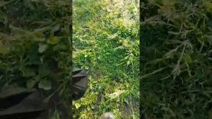 Рыбалка на Тезе.