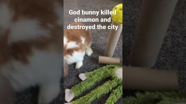 God bunny смотреть онлайн