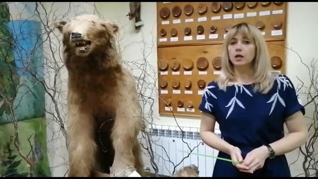 Интерактивное мероприятие "Роль животных в жизни людей"