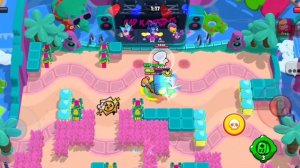 имба кленси