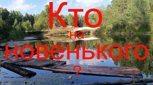 Кто на новенького ? Путина. г. Раменское. Карьер на Северном шоссе. 19.08.2024.