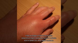 Агрессивный кот: основные причины и решение проблемы