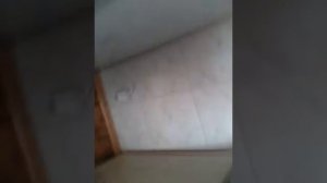 Сожрал говно (челлендж) очень отвратительно