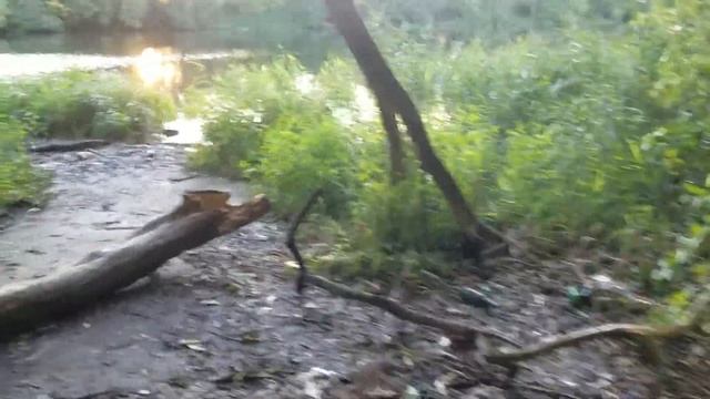 1619, Журавлёвский ручей и овраг, впадение в реку Оку, устье, плотина ТЭЦ, кучки кротов, город Орёл смотреть онлайн