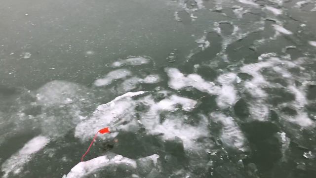 ПЕРВЫЙ ЛЁД / РЫБАЛКА НА ЧЁРТИК / ЗАХОДИЛИ ПО ВОДЕ смотреть онлайн