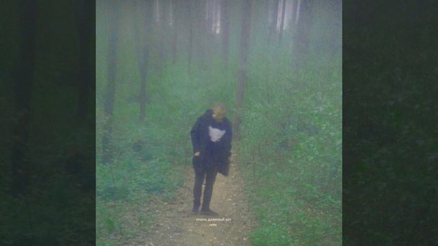 очень длинный кот - royal night смотреть онлайн